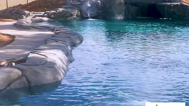 Yuba_River_Swimming_Pool_Contractor